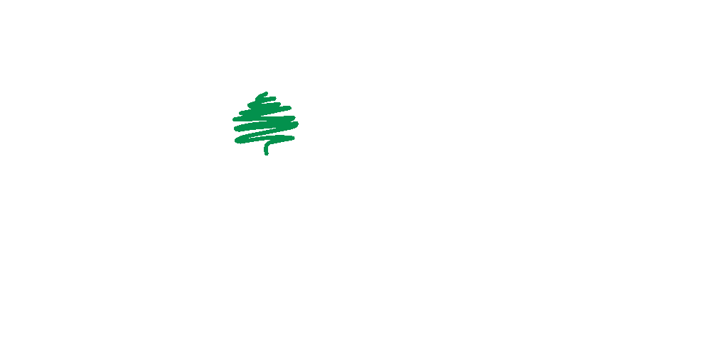 Vivara Foundation